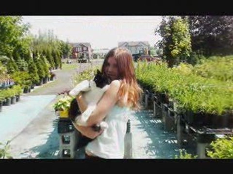 charlevoix quebec rougemont