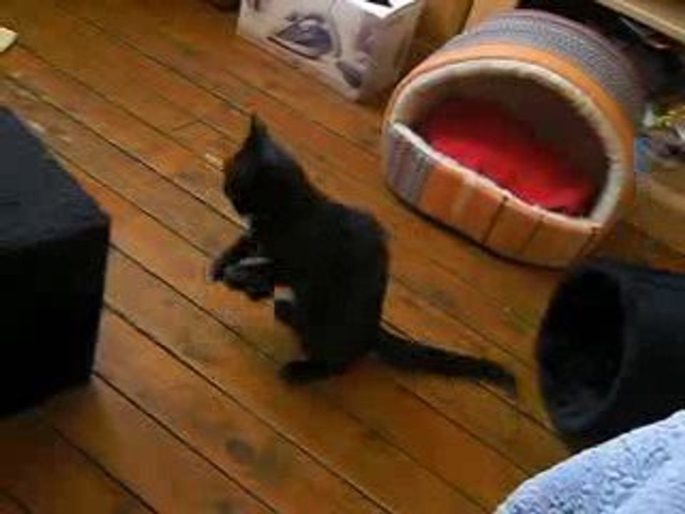 sept 2009 Era et Enya 002