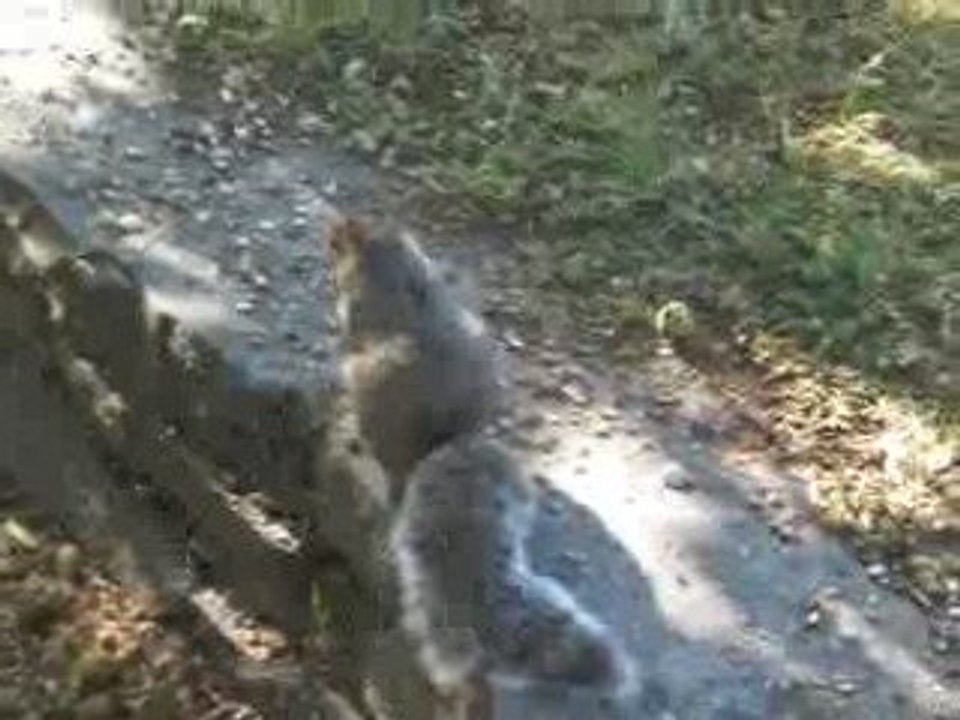 au quebec jardin botanique