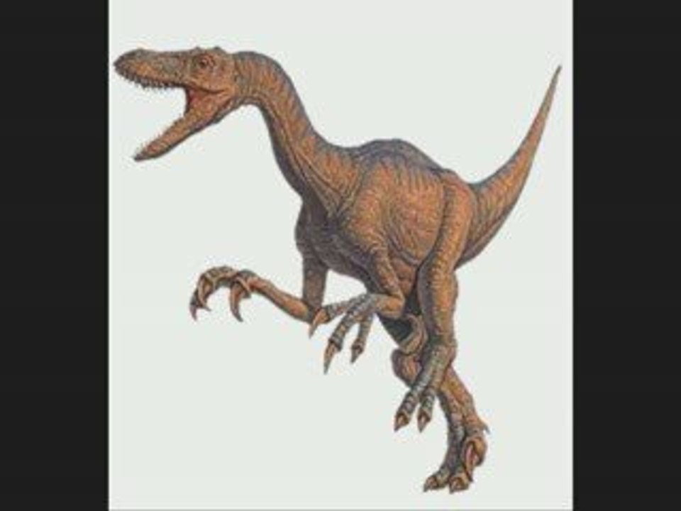 dinogaia i like to move it