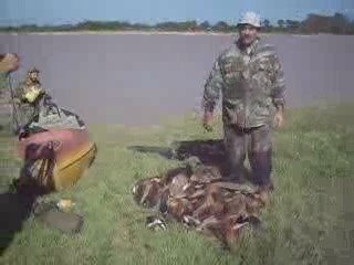CAZA DE PATOS (Duck)