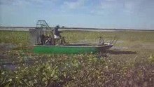 CAZA DE PATOS