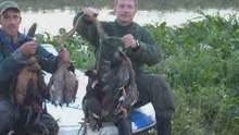 CAZA DE PATOS (DUCK)