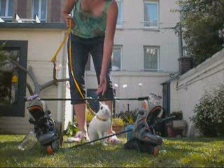 Zéphir et Ninon ... Mes amours