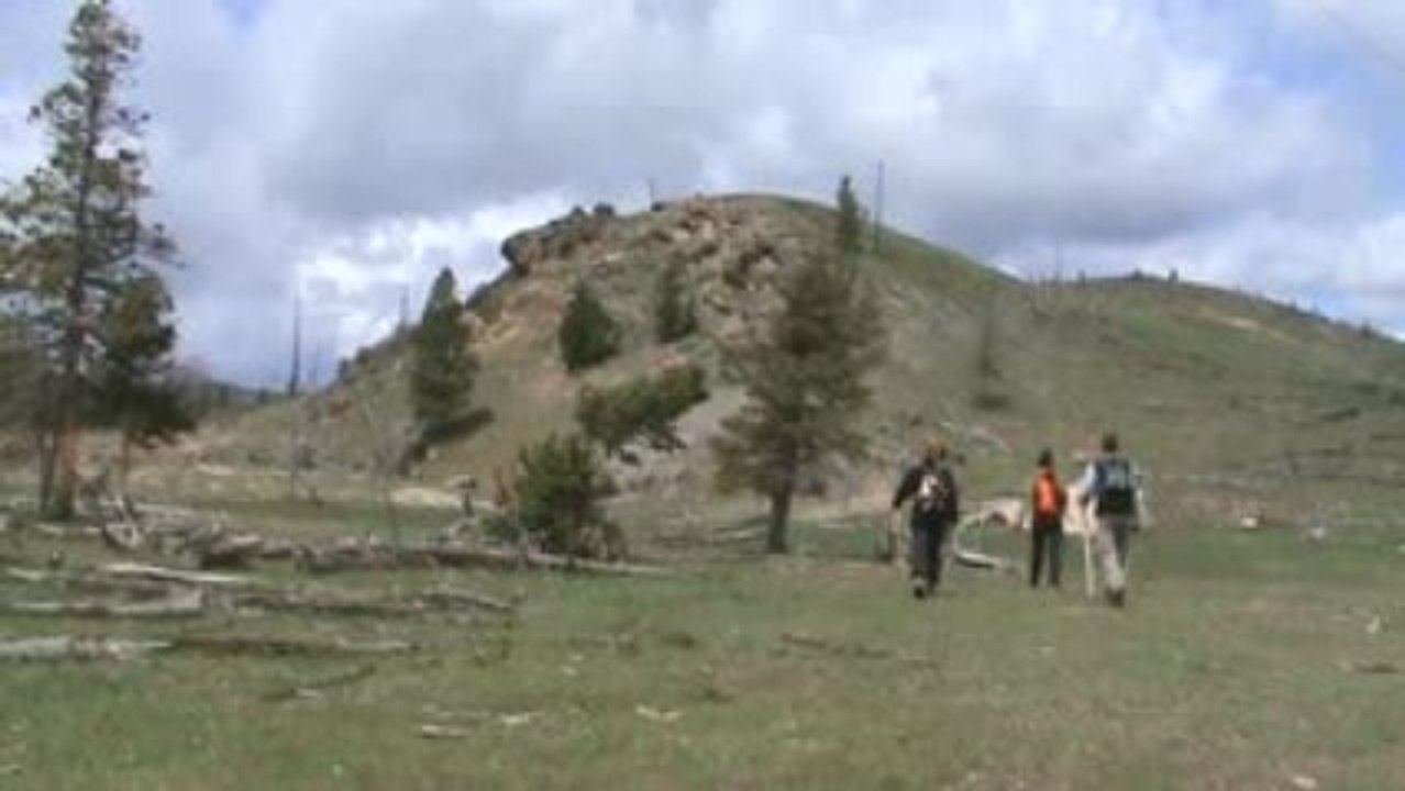 Voyage Yellowstone Jour j+3 (18)