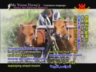 Shining World Compassion Award: Ms. Yeung Yeung’s Haven fo