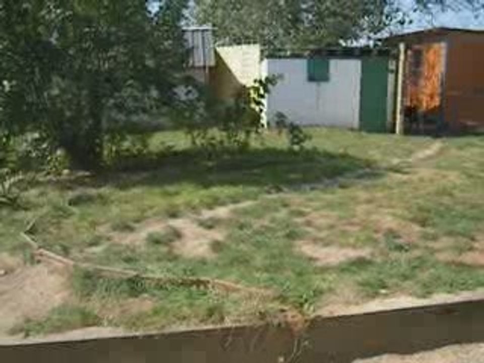 Baodaï & ses bébés 2009