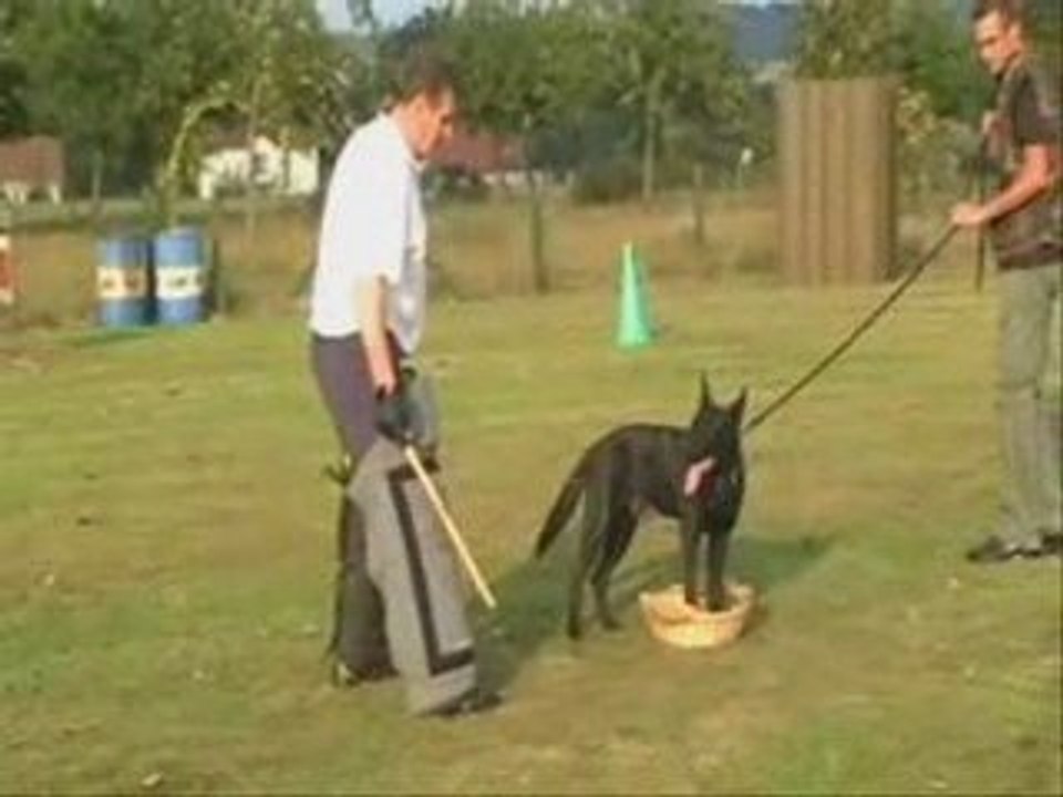 vidéo entrainement.