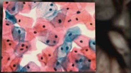 Virginia Beach, VA Mesothelioma Lawyer