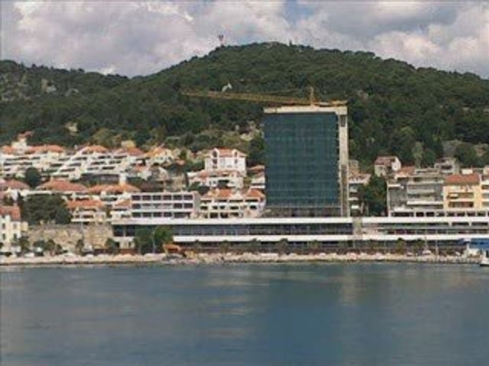 DORIS DRAGOVIĆ MORE