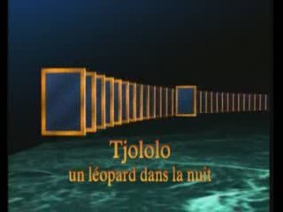 doc : Un Leopard Dans La Nuit (1)