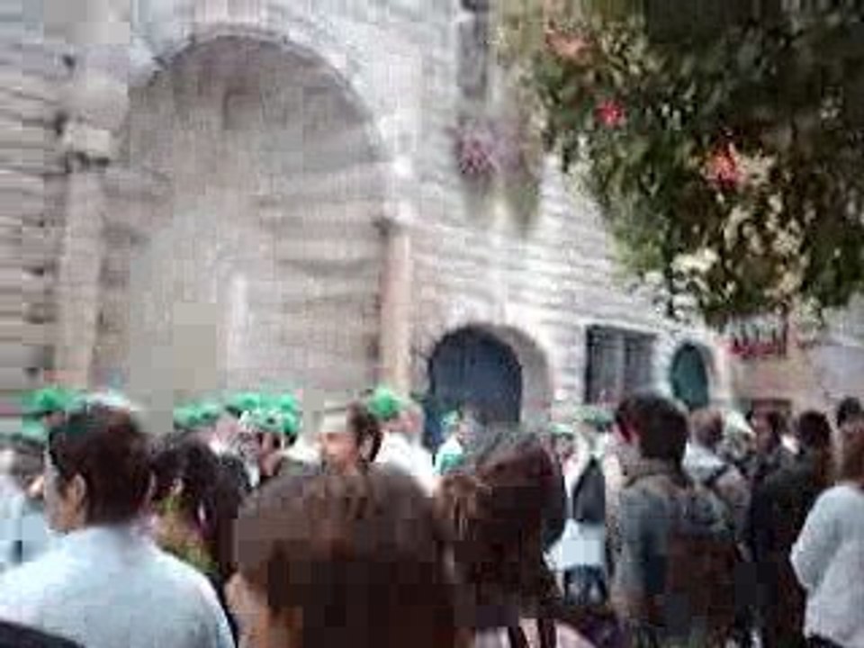 Integration DUT Chimie 2009 (1)