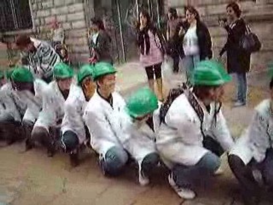 Integration DUT Chimie 2009 (3)