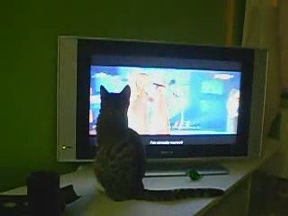 encor une fan de alexander rybak mdr