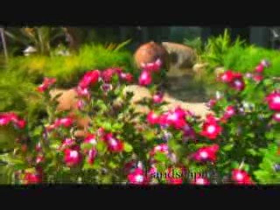 Phoenix landscaping