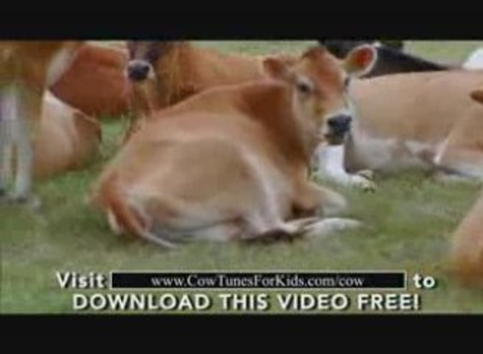 Preschool Song Entitled "A Big Book About Ice Cream"