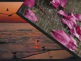 Aşkın Yarım Kalmışlıkları