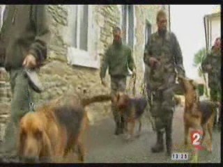 le chien de Saint Hubert et la gendarmerie