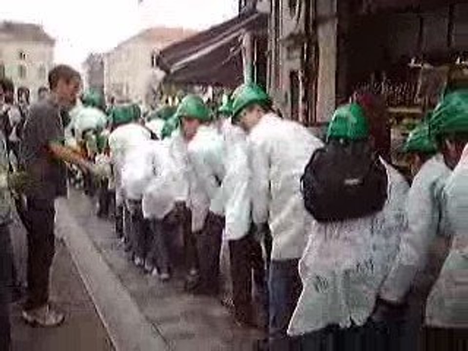 Integration DUT Chimie 2009 (7)