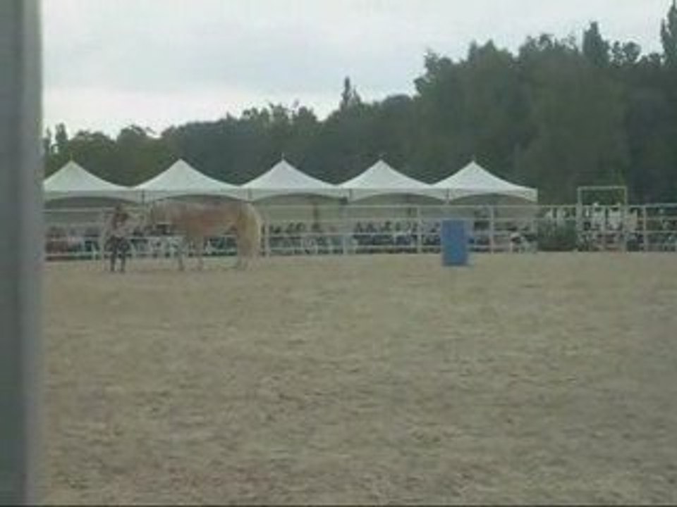 Pauline & Naïade RDV Etho , Démo du dimanche