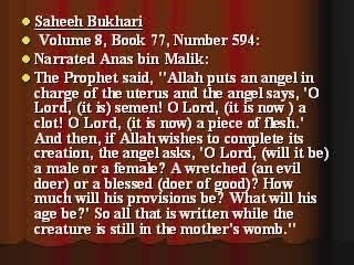 What in wombs in Quran-Misconception