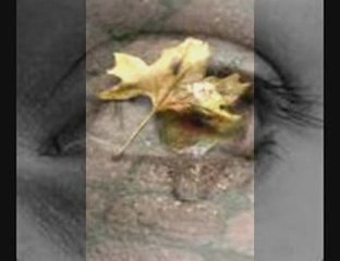 Remzı Tımar_Dostlar Bayramınız Mubarek Olsun