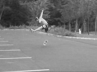 sk8 Sk8 Bibiche: Fun Skateboarding Adventures