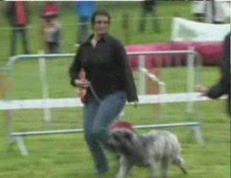 Fête des chiens des Pyrénées 2009 Argelès-Gazost