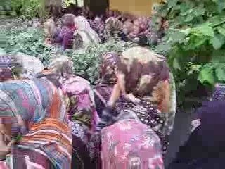 ALTAY KARDEŞLER CENAZE