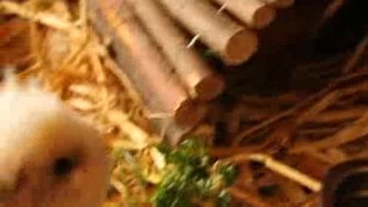 Légumes et cobayes