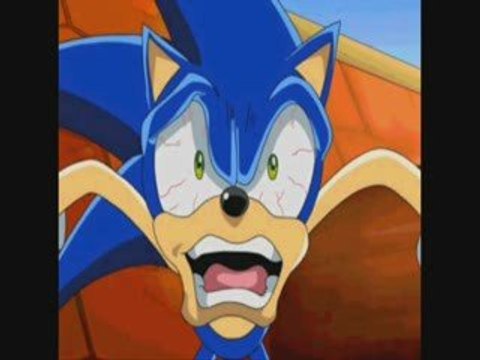 Top Images marrantes de Sonic X 1ere partie