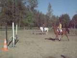 Harry(2) Poney-club Arets