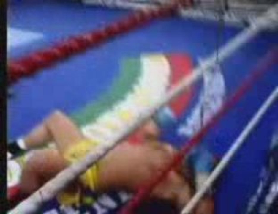 Ramon Dekkers / Muay Thaï