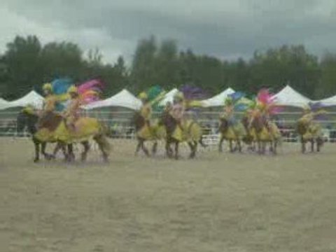 La Cense / Caroussel Poneys en licol et en cordelette !