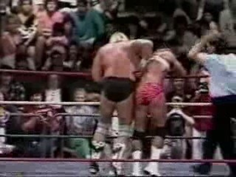 Brian Pillman vs. Barry Windham (4-6-91)