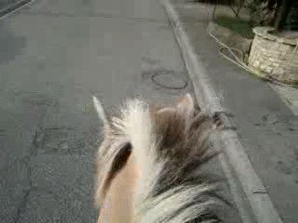 En ballade avc Napo'h