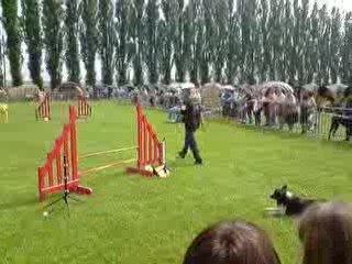 Patrick & A'coon - Championnat régional - 05/09 - Mastaing