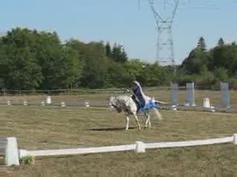 Vigneux : fête du cheval 2009