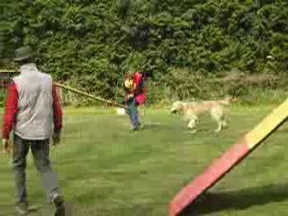 Ravel - Grand prix de France agility - 04/07 - Mastaing