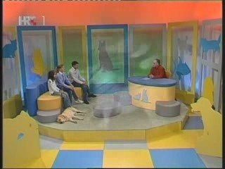 LORENZO Hipodrom ZAGREB CRO  "KUĆNI LJUBIMCI" HRT