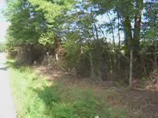 cheap land, buy land louisa, www.buylandva.com