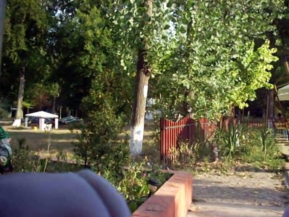 prezentarea volumului De-a vis ascunselea a Violetei Andrei