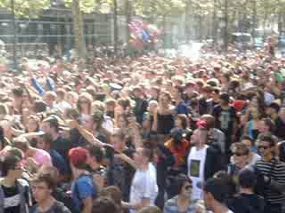 Techno parade 2009 en DIRECT!