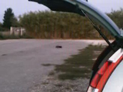 Savage HPI premiers réglages