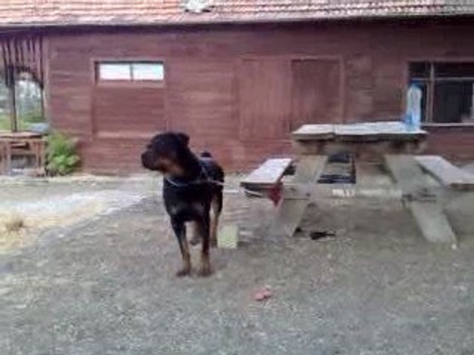 arthur