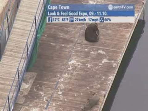 Macau SAR - China, Lugano - Ticino - Switzerland, Paris - France, Cape Town - South Africa, Palma de Mallorca - Spain, London - United Kingdom, Brussels - Belgium