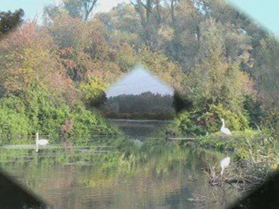 Session de pêche 5962