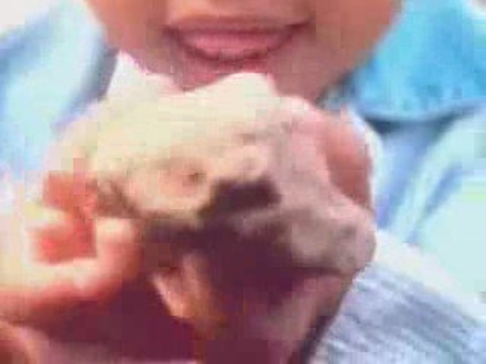 Lords of the underground - Tic Toc