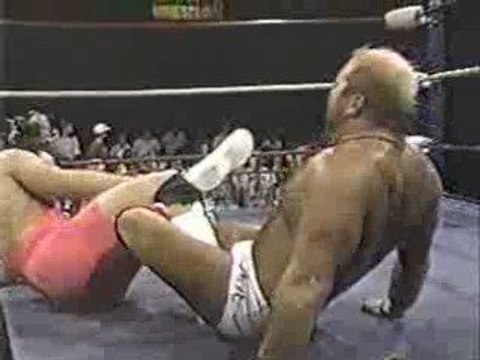 Arn Anderson vs. Scott Steiner