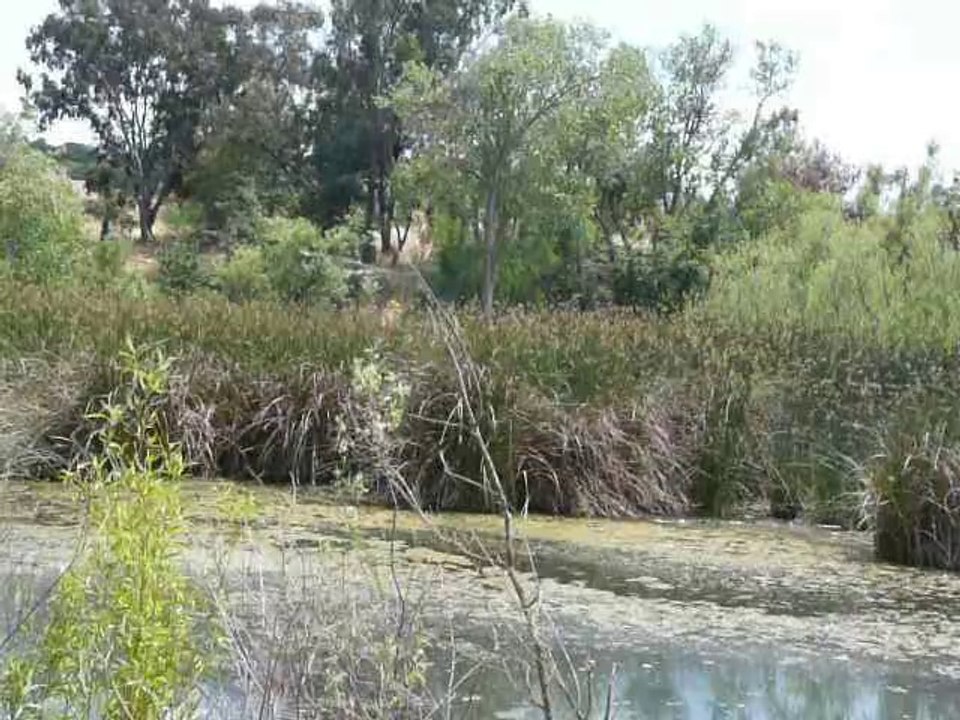 PLEASANTON